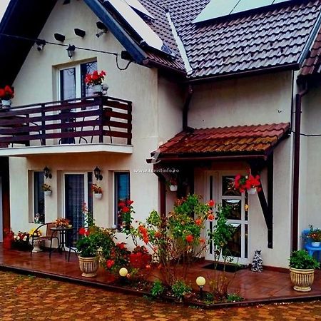 Edelweiss Ilinca Apartment เซอร์เนช ภายนอก รูปภาพ