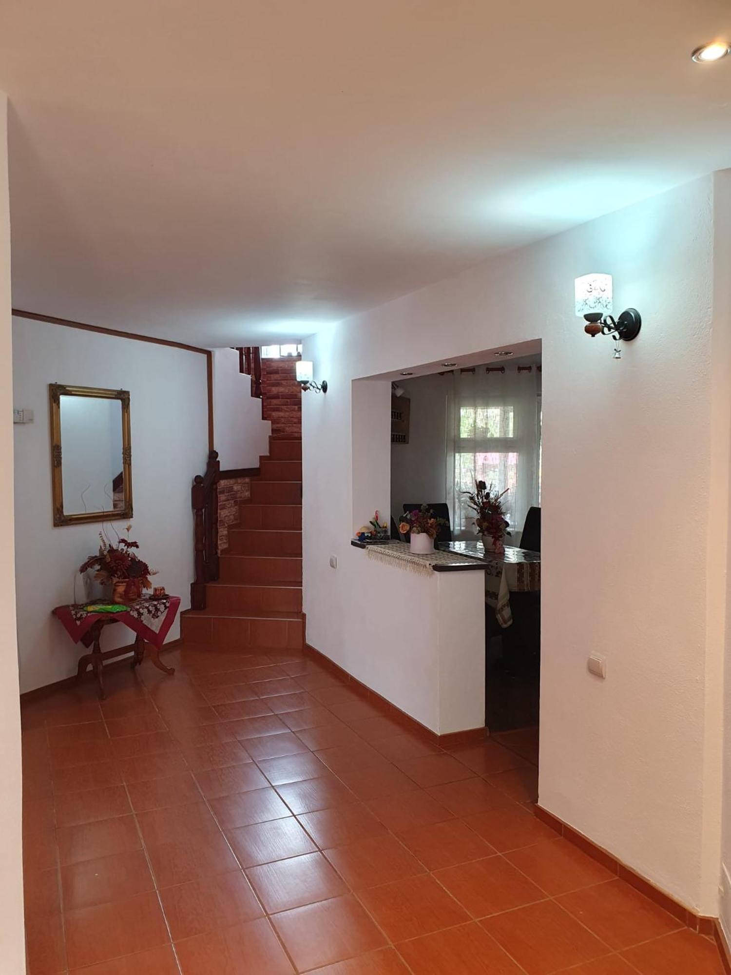 Edelweiss Ilinca Apartment เซอร์เนช ภายนอก รูปภาพ