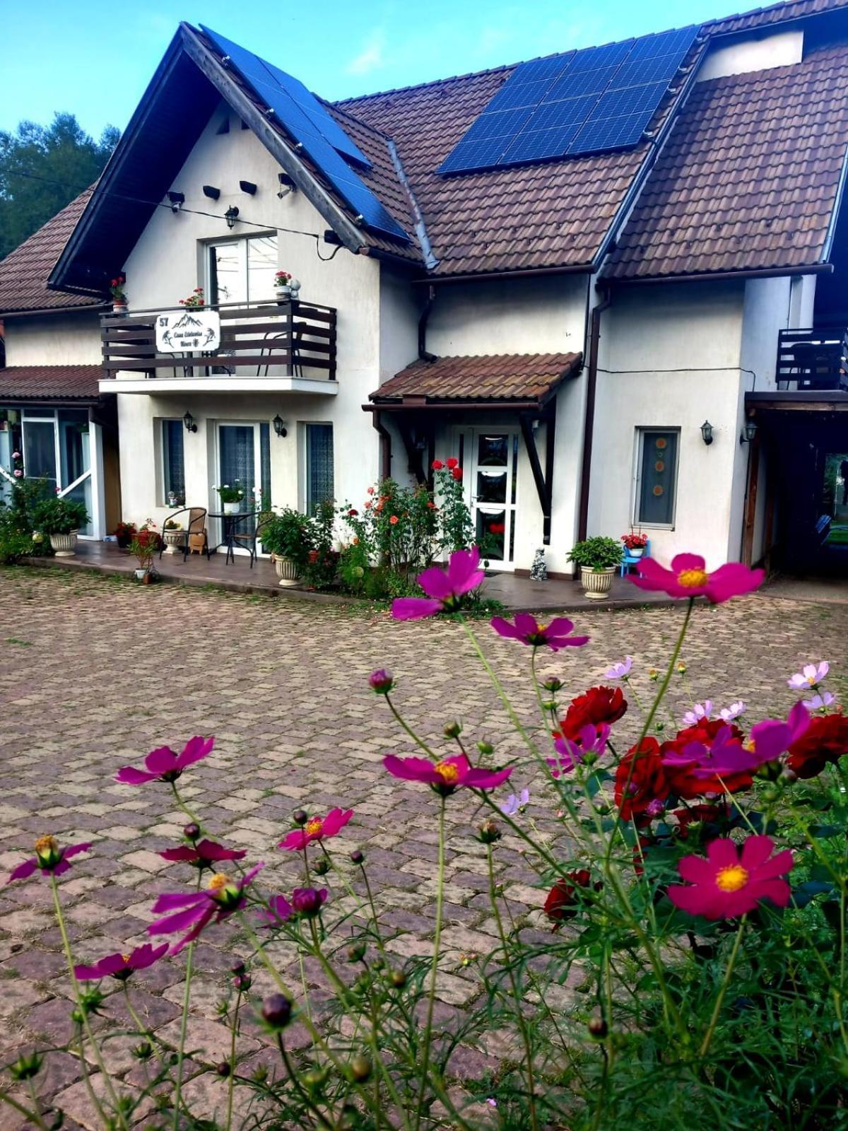Edelweiss Ilinca Apartment เซอร์เนช ภายนอก รูปภาพ
